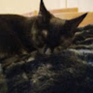 Meet your Posher, Katelyn